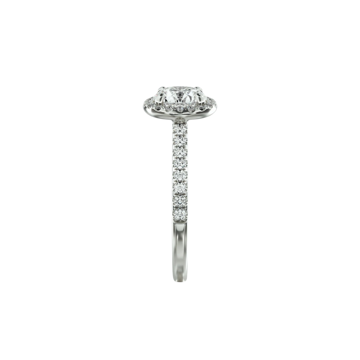 Pavé Halo and Shank Diamond Solitaire